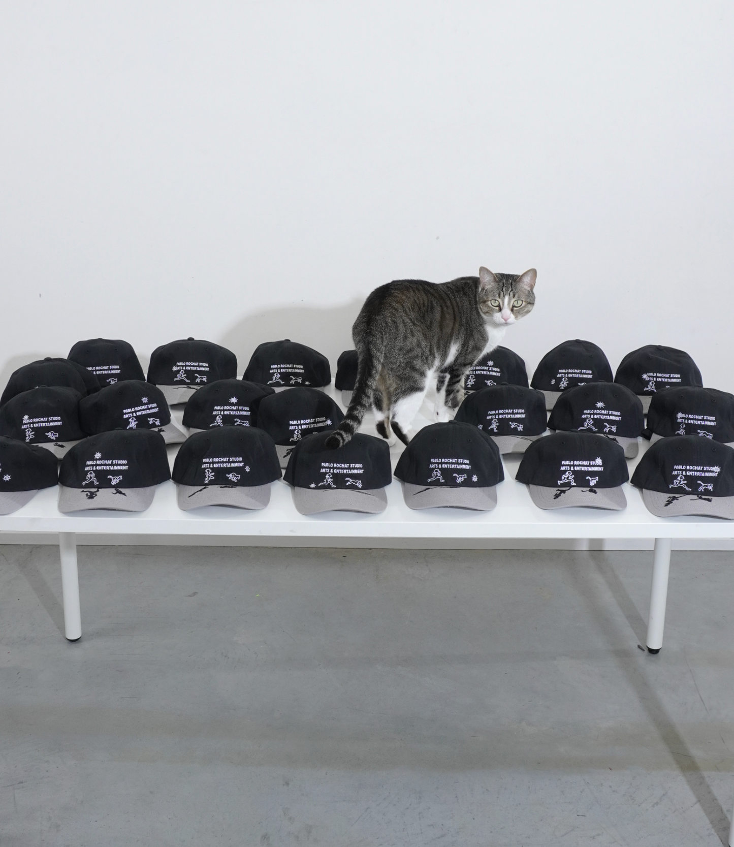 PRS Animation Hat -  Edition of 24